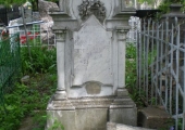  Софья Давыдовна Кирица-Топор (1828-1887)