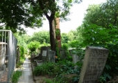 oldchisinau_com-cem-jew-0114