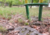 oldchisinau_com-cem-jew-0117