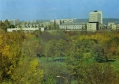 Долина Роз