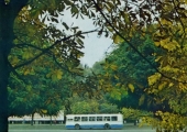 Проспект Мира