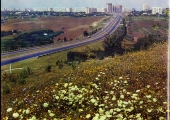 Проспект Мира