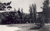 Городской Сад