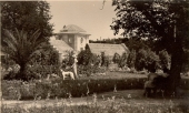 Городской Сад
