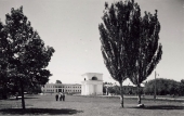 Митрополия